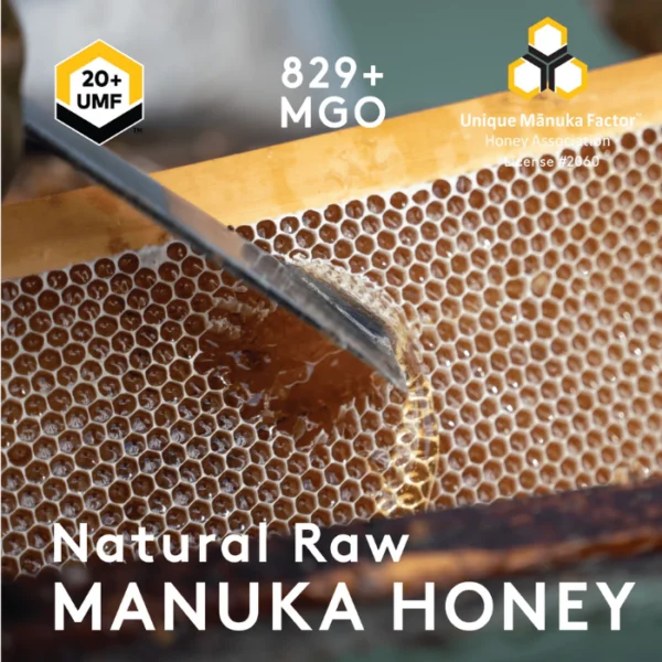 Miel de Manuka New Zealand Honey Co. MGO 829+ (125g) – Image 3