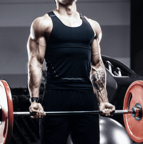 creapure creatine prozis