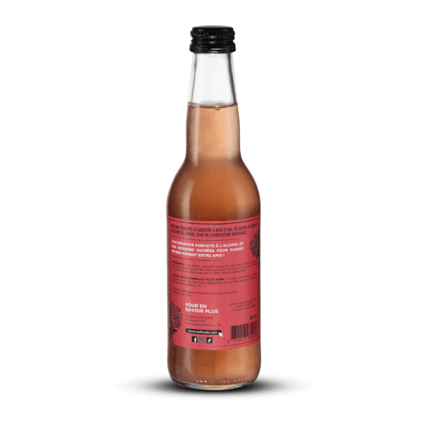 Kefirade, Kéfir d’Eau et de Fruit Sureau 33cl - Image 2