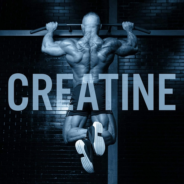Applied Nutrition Pack 2 Créatines Monohydrate - Shaker Offert – Image 4